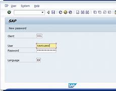 Image result for SAP Login Screen