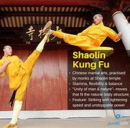 Image result for Deadliest Martial Arts Move in the World