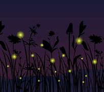 Image result for Firefly Vector