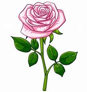 Image result for Rose Caricature