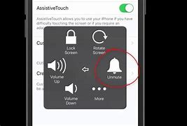 Image result for What iPhone Mute Switch Button