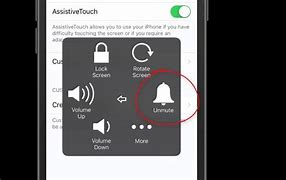 Image result for Putting iPhone On Mute