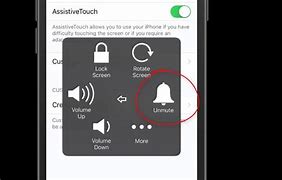 Image result for iPhone Mute Microphone