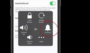 Image result for iPhone 6s Mute Switch Colour