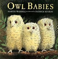 Image result for Owl Babies Story
