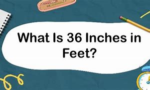 Image result for 36 Inches in Height in Feet