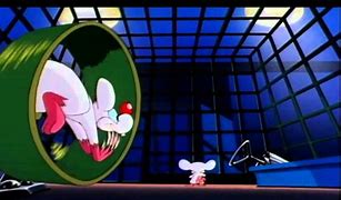 Image result for Pinky and the Brain Take Over the World Pics