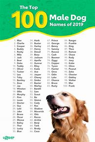 Image result for 1000 Male Dog Names