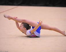 Image result for Gymnastics Training