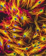 Image result for Quantum Dots Fluorescence