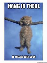 Image result for Hang in There Veterans Meme