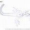 Image result for Green Lizard Drawing