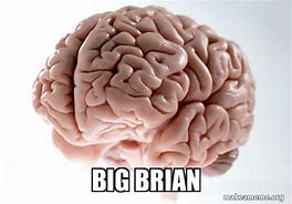 Image result for Brian Brain Meme