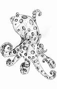 Image result for Blue Octopus Art