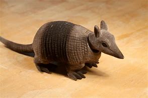 Image result for Andy Armadillo Clip Art