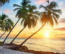 Image result for Beach Desktop Wallpaper for Computer