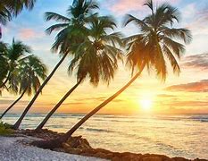 Image result for Home Screen Wallpaper Beach