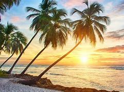Image result for Tropical Scene Sunset Beach
