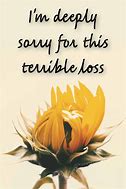 Image result for Sorry You Lost