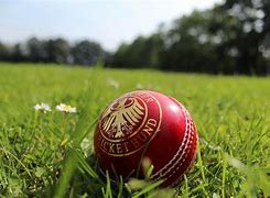 Image result for Pic of Cricket