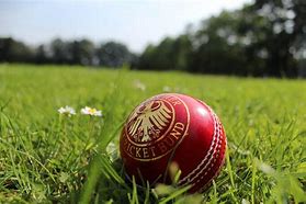 Image result for Cricket Backdrop