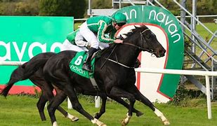 Image result for Canute Horse at Ascot