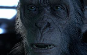 Image result for Planet of the Apes Caesar Fan Art