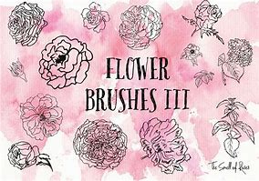 Image result for Flower Brushes Photoshop