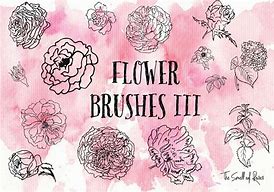 Image result for Photoshop Flower Brushes Free