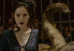 Image result for nagini the snakes