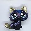 Image result for LPs Galaxy Cat