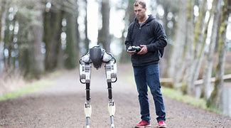 Image result for First Walking Robot