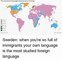 Image result for Sweden Foreign Language Meme