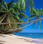 Image result for 1680X1050 Widescreen Fiji Beach Desktop Wallpaper