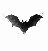 Image result for Bat Logo Vector Transparent
