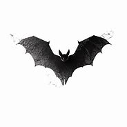 Image result for Bat Silhouette Realistic