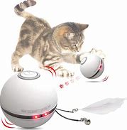Image result for Wire Ball Cat Toy