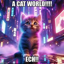 Image result for Ech Cat Meme