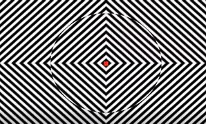 Image result for Illusions Stare at the Center