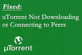 Image result for Torrent Not Downloading