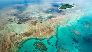 Image result for Great Barrier Reef heritage danger list