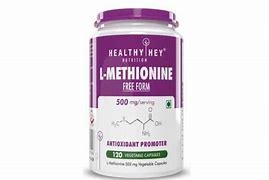 Image result for Hek 293 and Methionine Sulfoximine