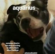 Image result for Aquarius Apology Meme