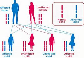Image result for Achondroplasia Inheritance Pattern