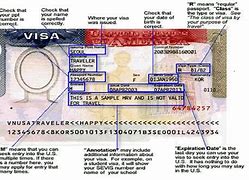 Image result for H2b Visa Form