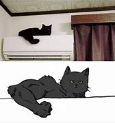Image result for Cat Meme Arms