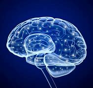 Image result for Electrical Brain