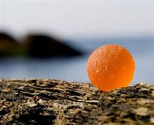 Image result for Sea Glass Photography