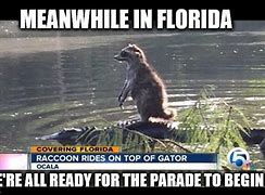 Image result for Meme Meanwhile in Florida