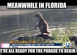 Image result for Meanwhile in Brevard County Memes